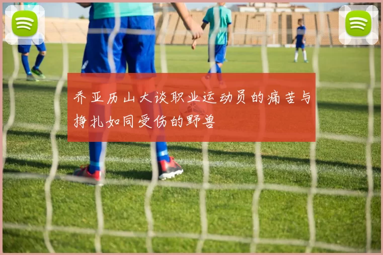乔亚历山大谈职业运动员的痛苦与挣扎如同受伤的野兽